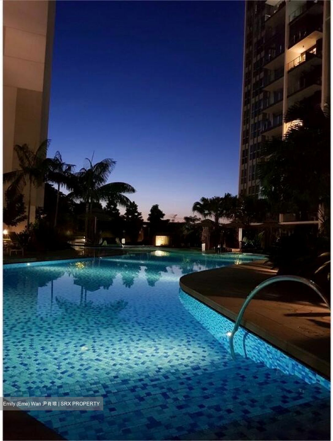 Bartley Ridge (D13), Condominium #499350451